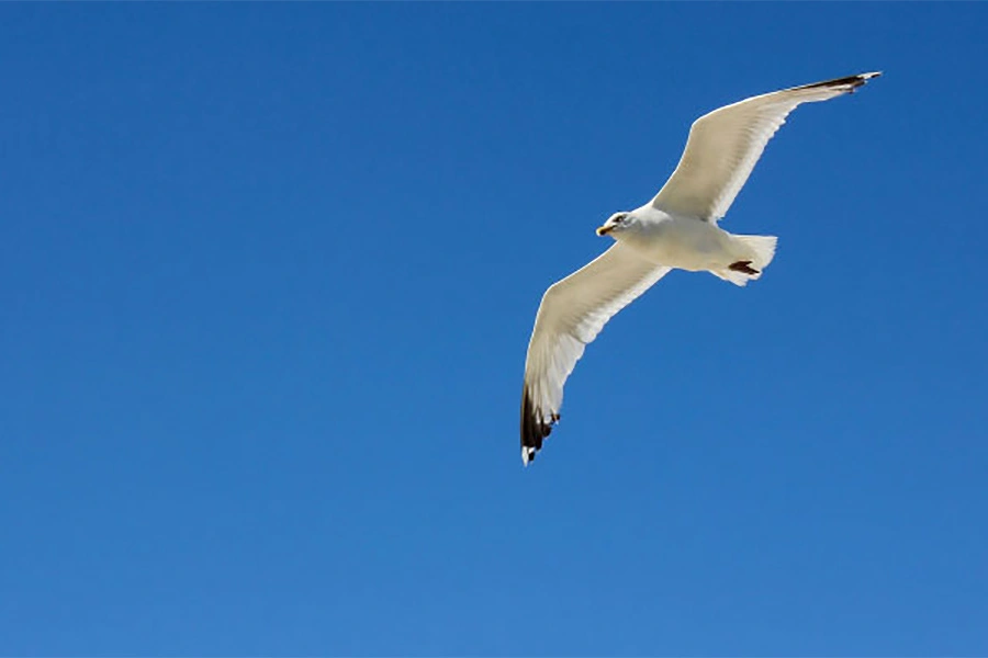 Schwangeren- und<br>Schwangerschafts-<br>konfliktberatung